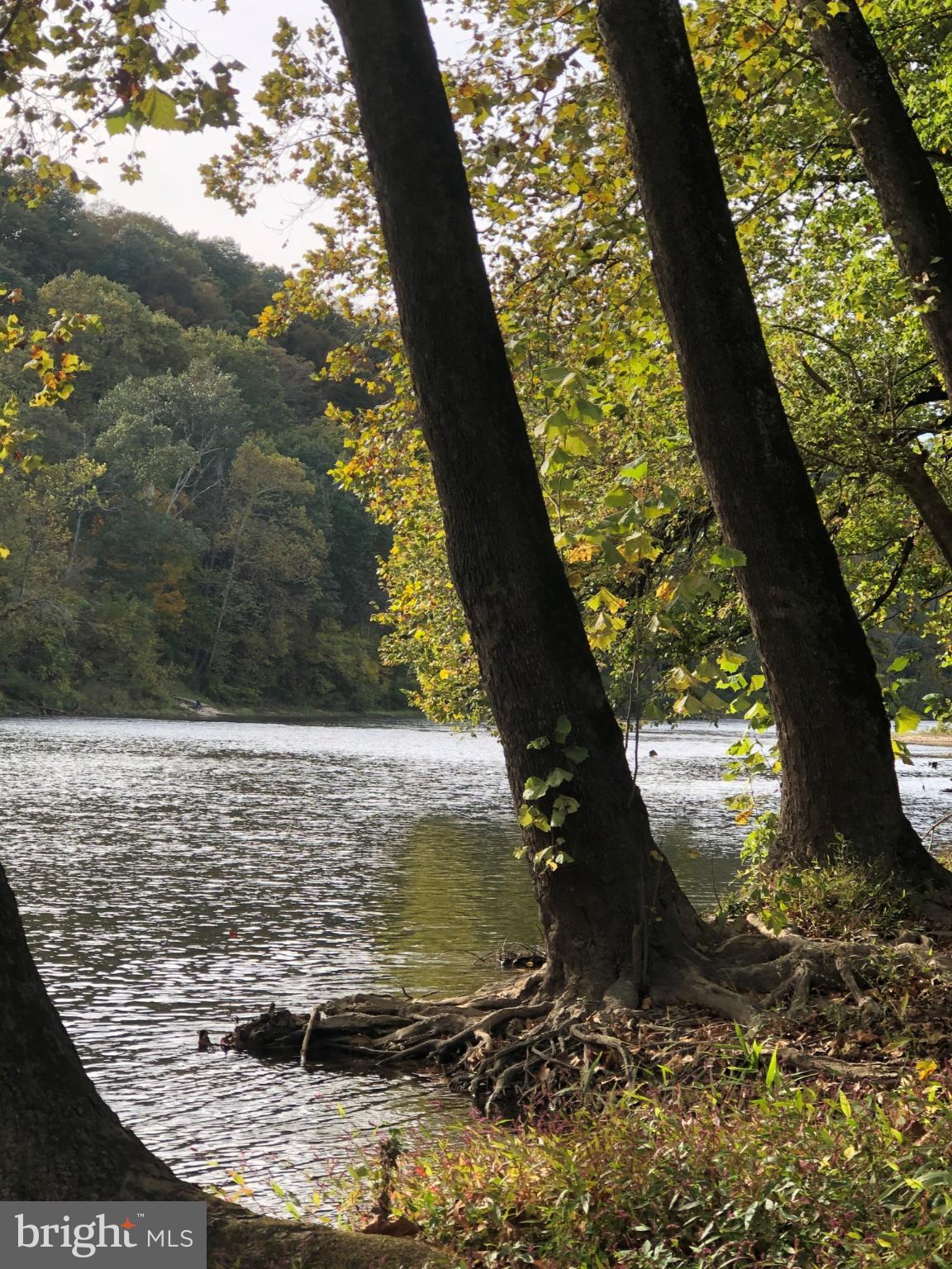 5532 Page Valley Road Luray, VA 22835 - Photo 41 of 42