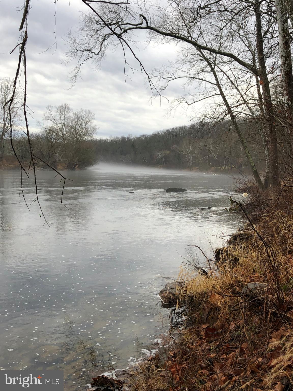 5532 Page Valley Road Luray, VA 22835 - Photo 42 of 42 a view of a yard with a tree