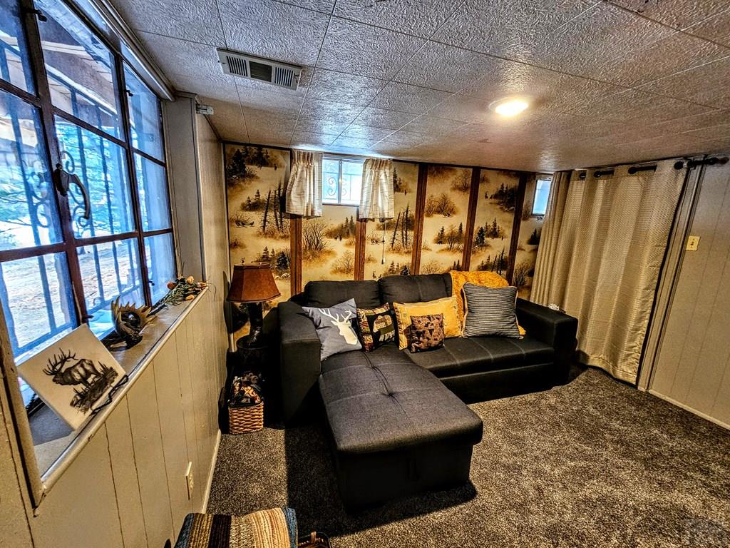 60 Cedar Street Rye, CO 81069 - Photo 37 of 60