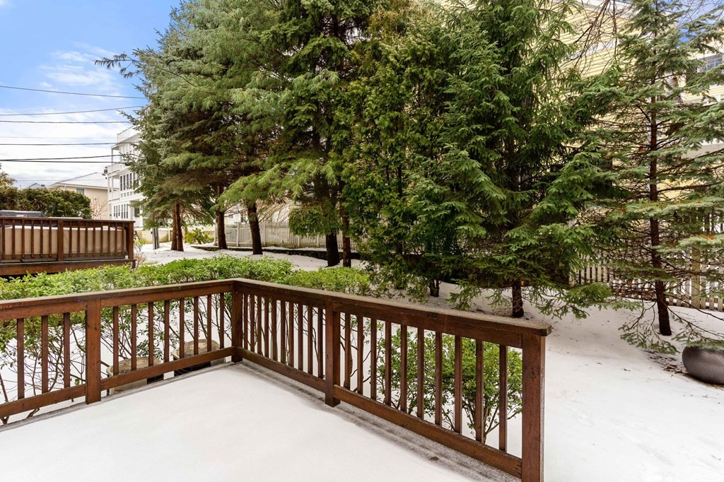 11 Meadowbrook Road, Unit 11 Brookline, MA 02467 - Photo 42 of 42 a view of a street with a trees