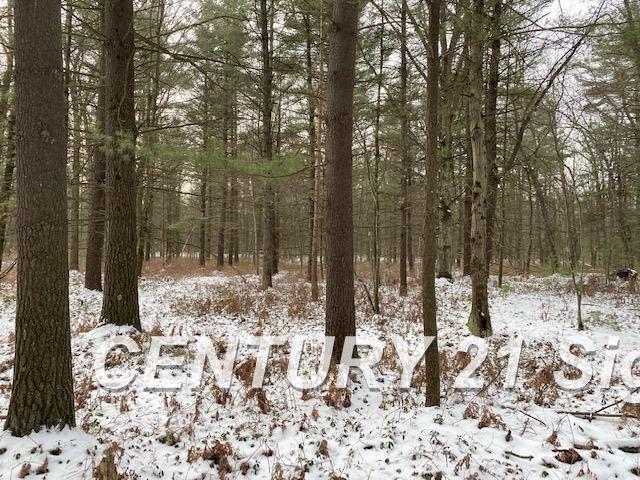 0 West Wackerly Road Sanford, MI 48657 - Photo 9 of 19