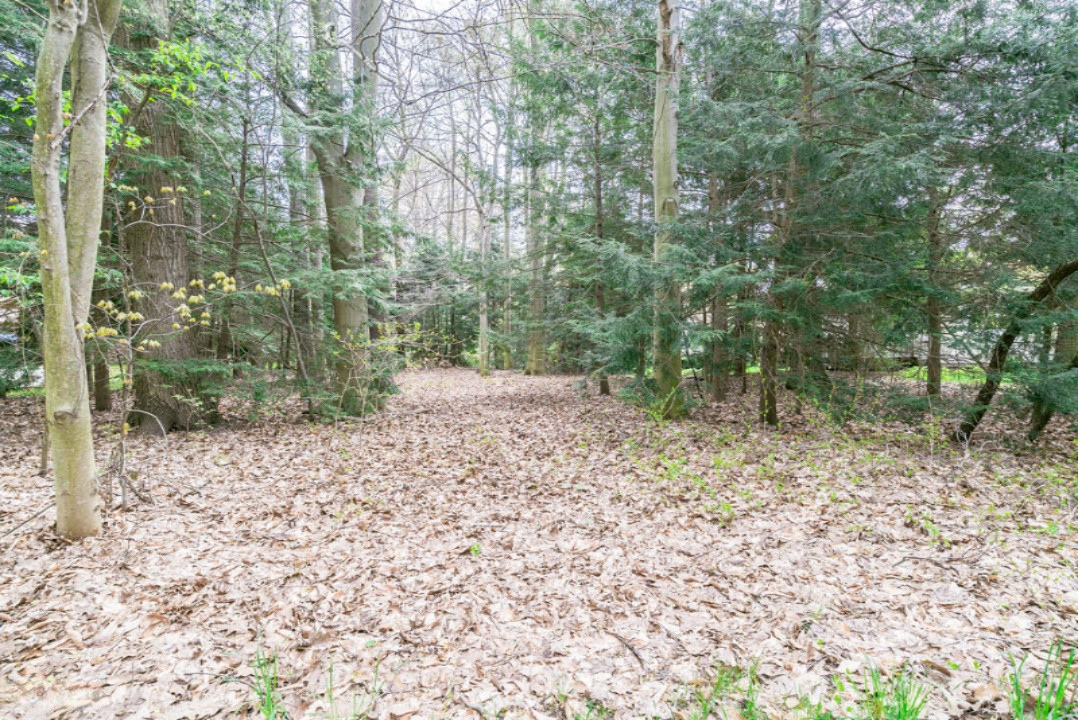 2810 Rennells Road Spring Lake, MI 49456 - Photo 6 of 40 2810 Rennells Rd_039