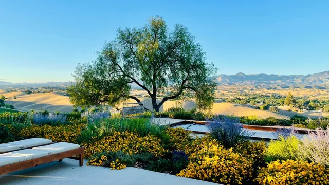 a view of a lake with a mountain