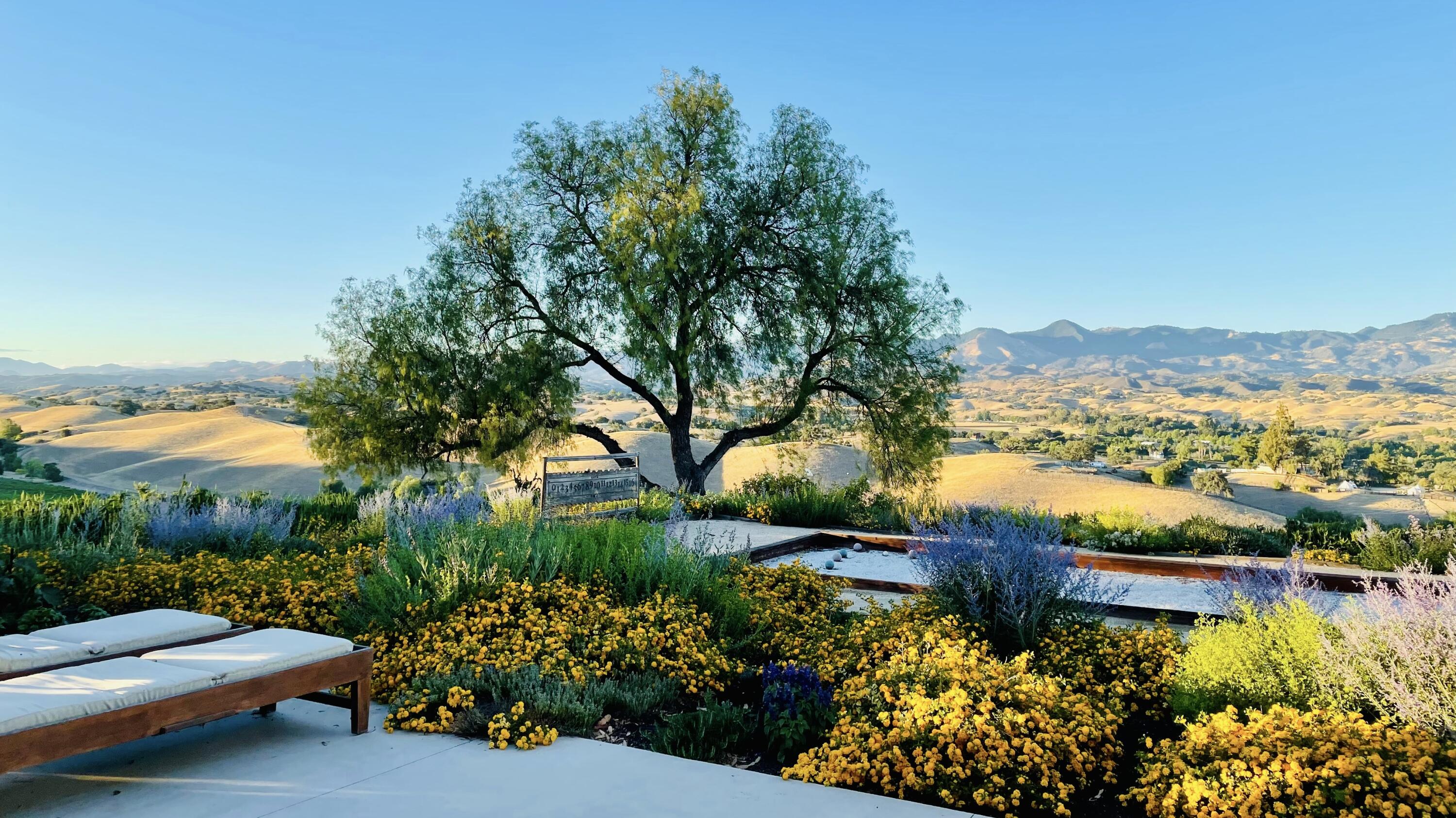 a view of a lake with a mountain