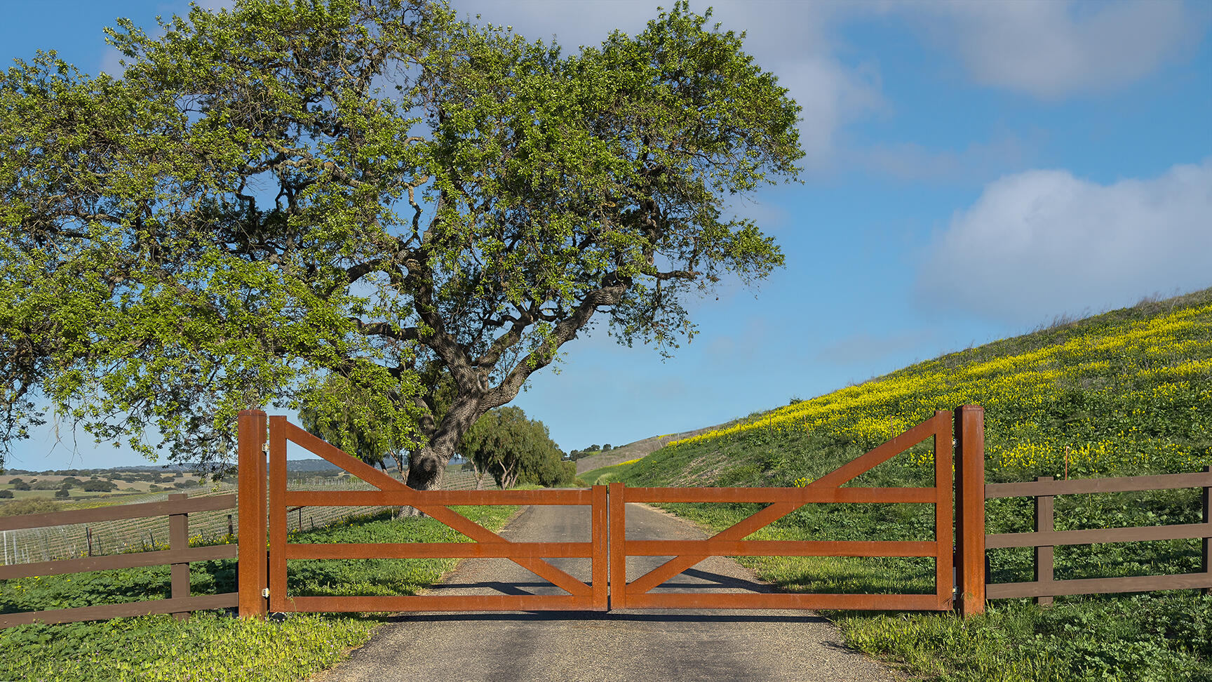 2852 Tapadero Road Solvang, CA 93463 - Photo 2 of 52 a view of a yard with an outdoor space