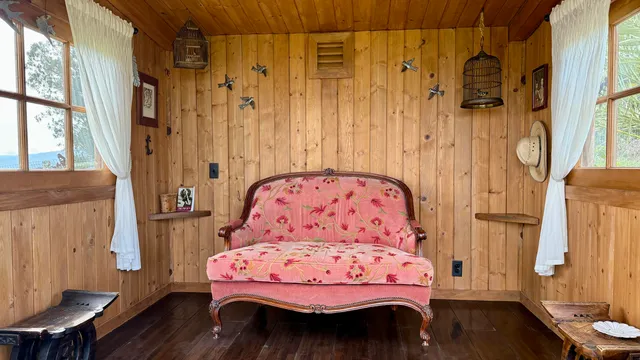 a view of a plant in a garden