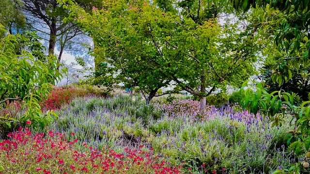 a view of yard with swimming pool and green space