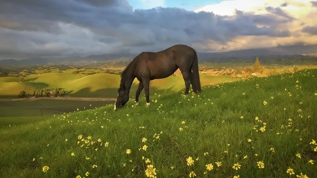 a view of lake view and mountain
