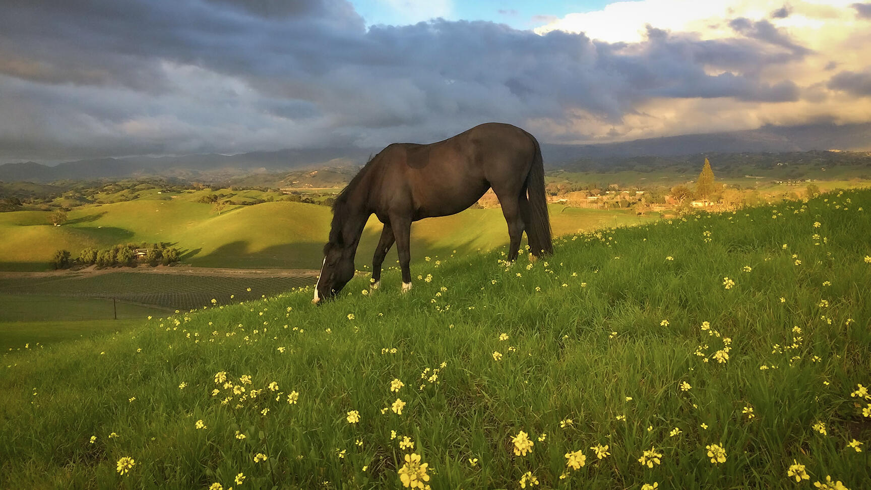 2852 Tapadero Road Solvang, CA 93463 - Photo 4 of 52 a view of lake view and mountain