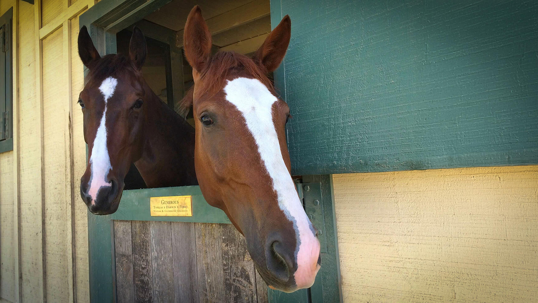 2852 Tapadero Road Solvang, CA 93463 - Photo 45 of 52 a view of walk in closet