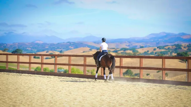 a view of a garden with an outdoor space