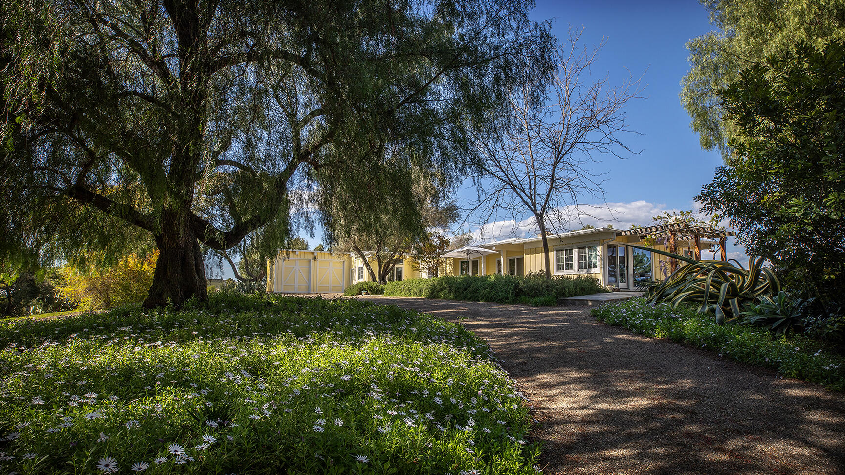 2852 Tapadero Road Solvang, CA 93463 - Photo 6 of 52 a view of backyard with green space