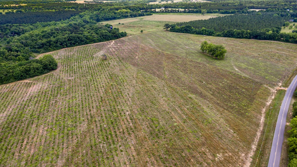 3000 Omussee Road Dothan, AL 36303 - Photo 4 of 15