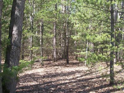 North Bass Lake Road Irons, MI 49644 - Photo 1 of 9 Primary Photo