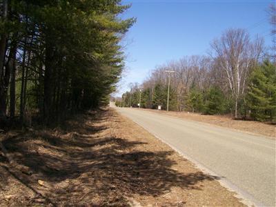 North Bass Lake Road Irons, MI 49644 - Photo 4 of 9 Additional Photo