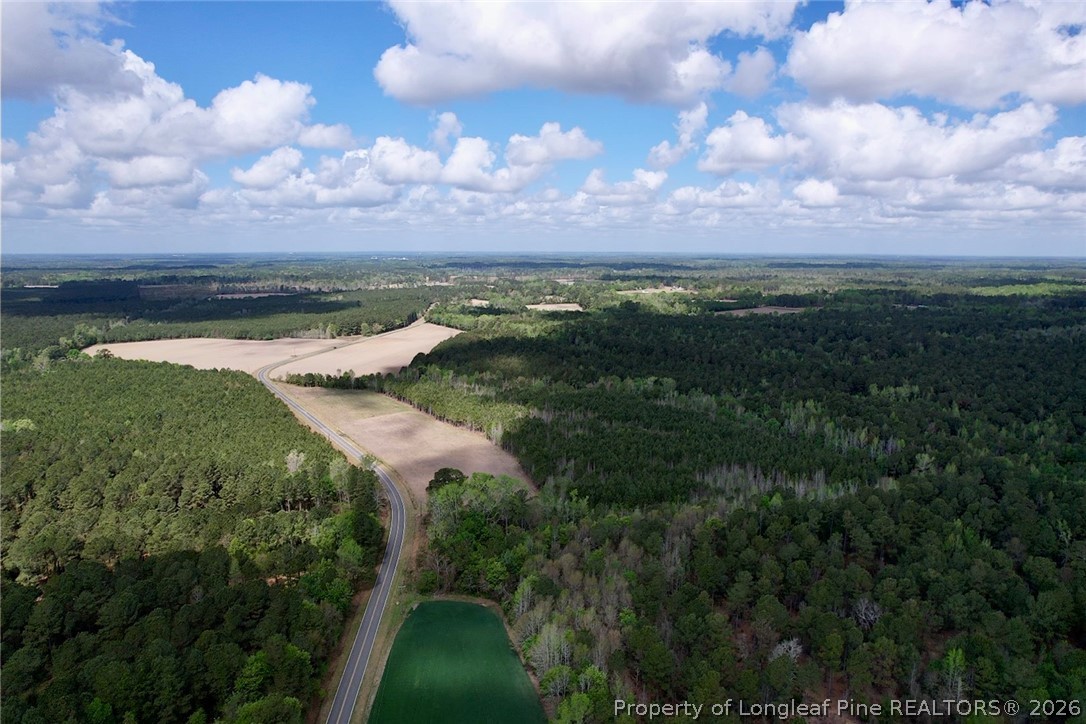 3331 Bogie Island Road Fayetteville, NC 28312 - Photo 7 of 10