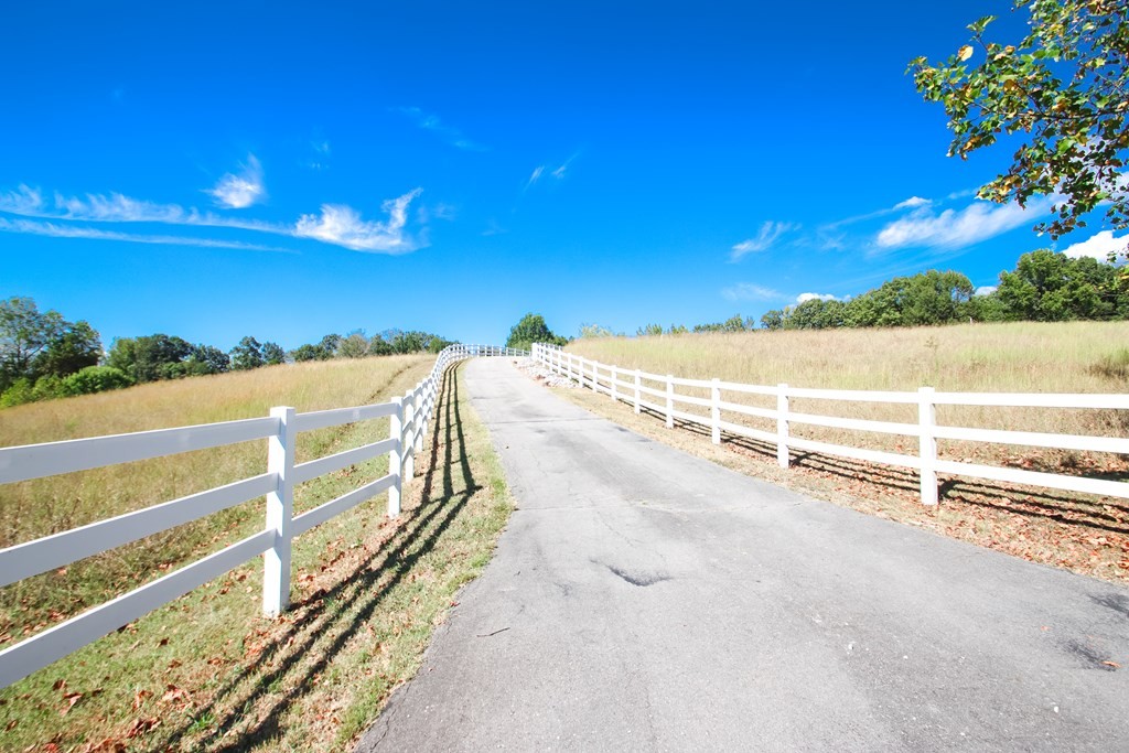 3120 3 Island Road Walling, TN 38587 - Photo 2 of 36 Gallery Image 2