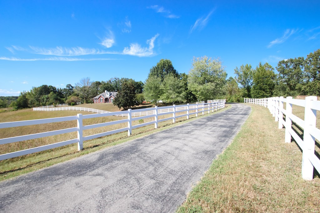 3120 3 Island Road Walling, TN 38587 - Photo 3 of 36 Gallery Image 3