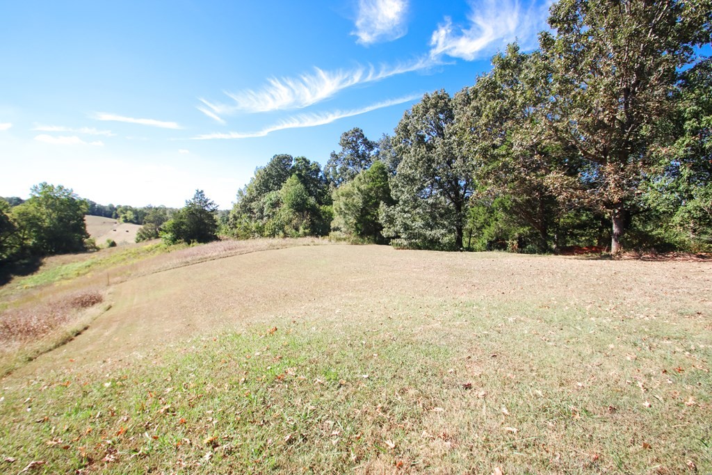 3120 3 Island Road Walling, TN 38587 - Photo 36 of 36 Gallery Image 36