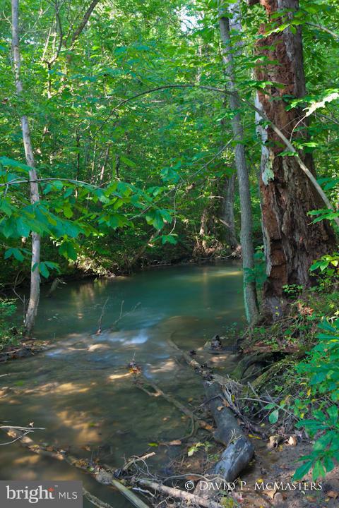 4949 Scrabble Road Shepherdstown, WV 25443 - Photo 6 of 29 Year round stream. Spring is nearby.