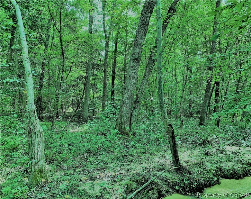 1 Newton Road Newtown, VA 23126 - Photo 2 of 20