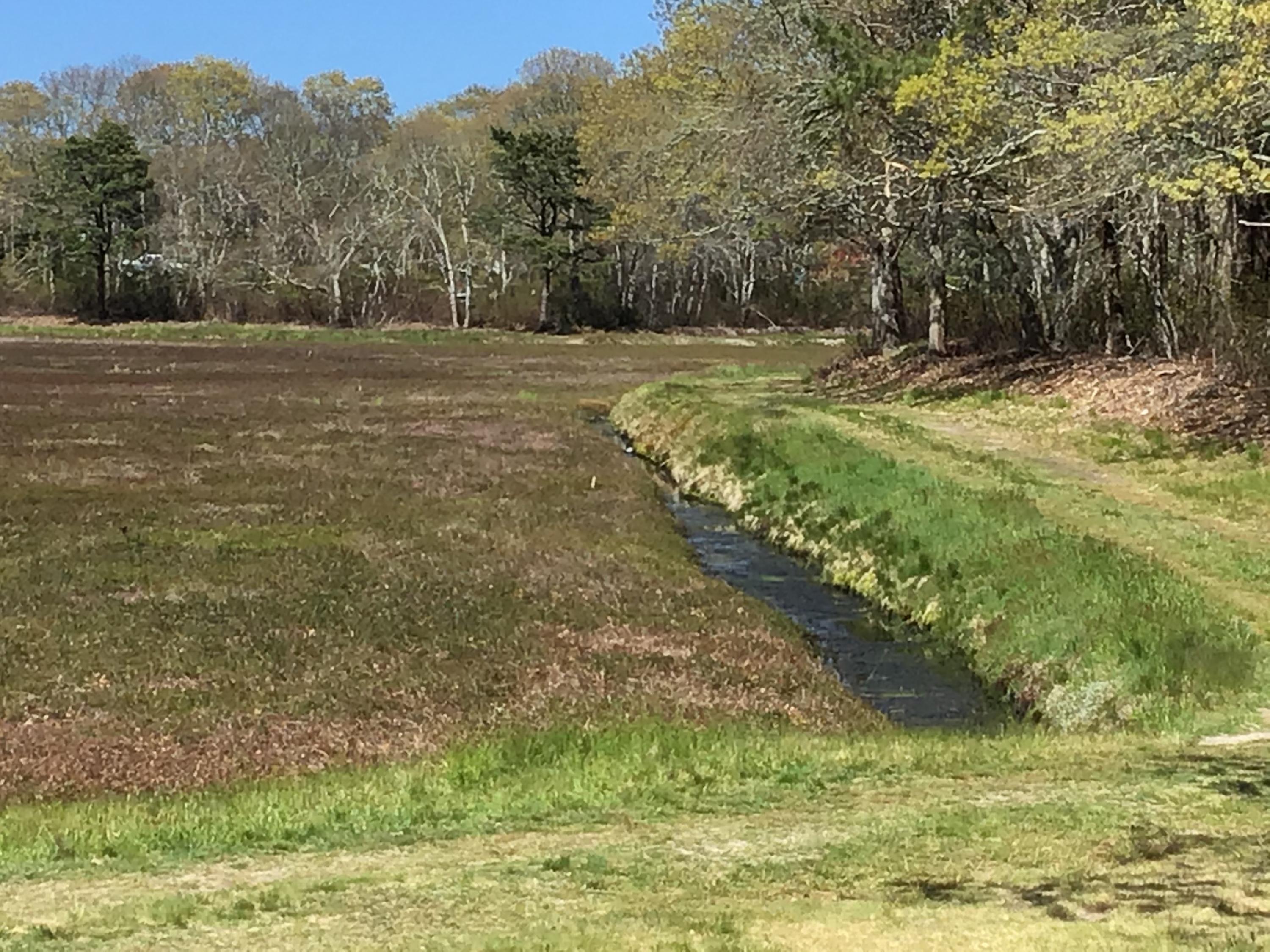 114 Sullivan Road West Yarmouth, MA 02673 - Photo 13 of 41 a view of a field with trees in the background