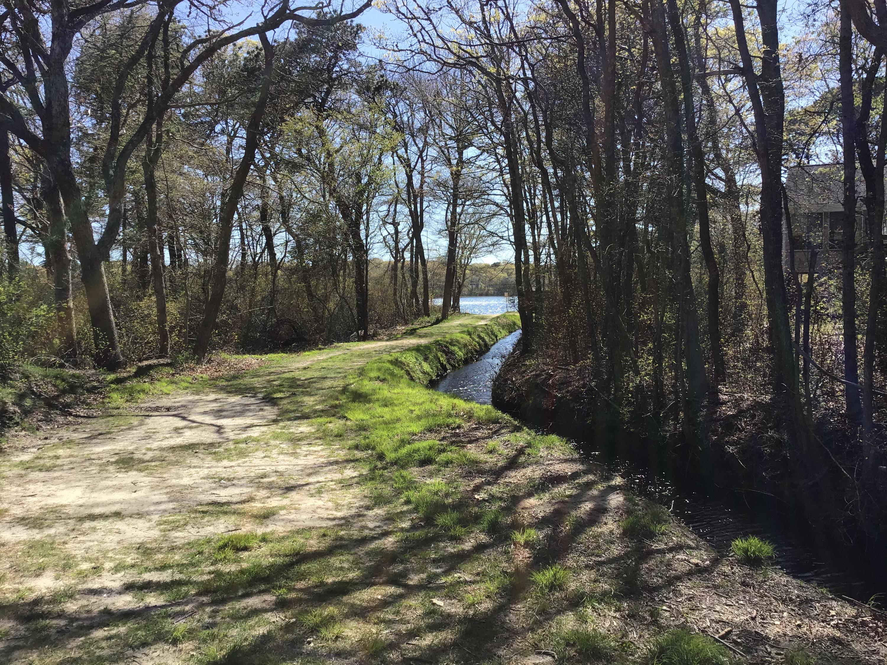 114 Sullivan Road West Yarmouth, MA 02673 - Photo 15 of 41 a view of a yard with plants and trees