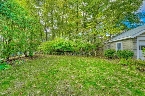a view of a backyard with plants and large trees