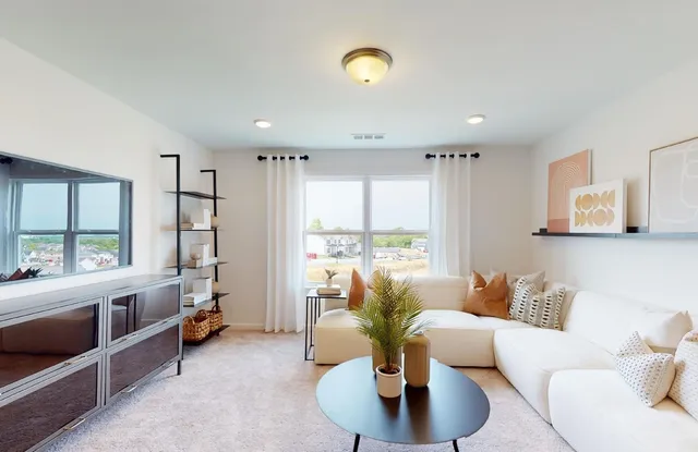 a living room with furniture and a potted plant