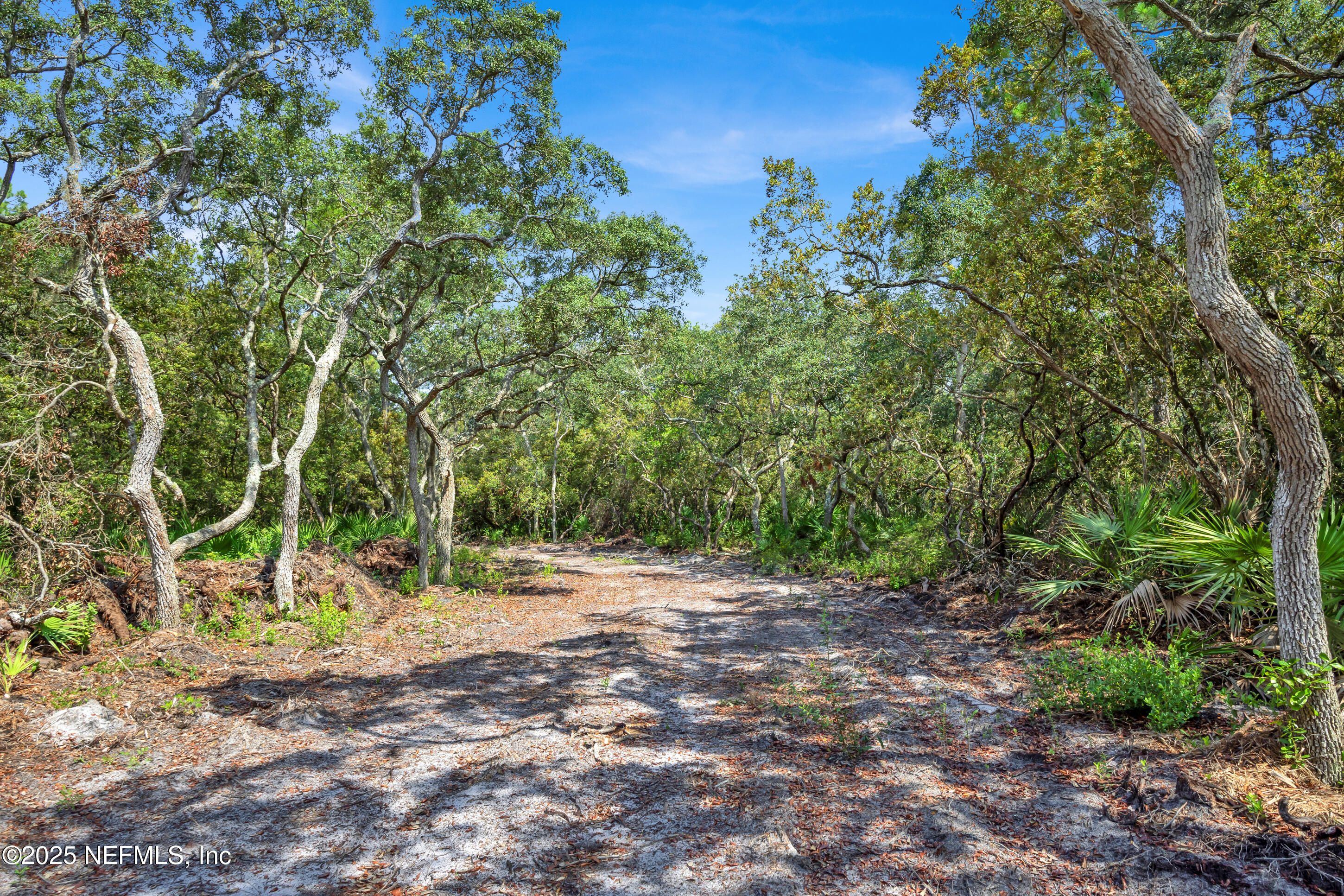 13091 Sawpit Road Jacksonville, FL 32226 - Photo 13 of 26 a backyard of a house with lots of green space