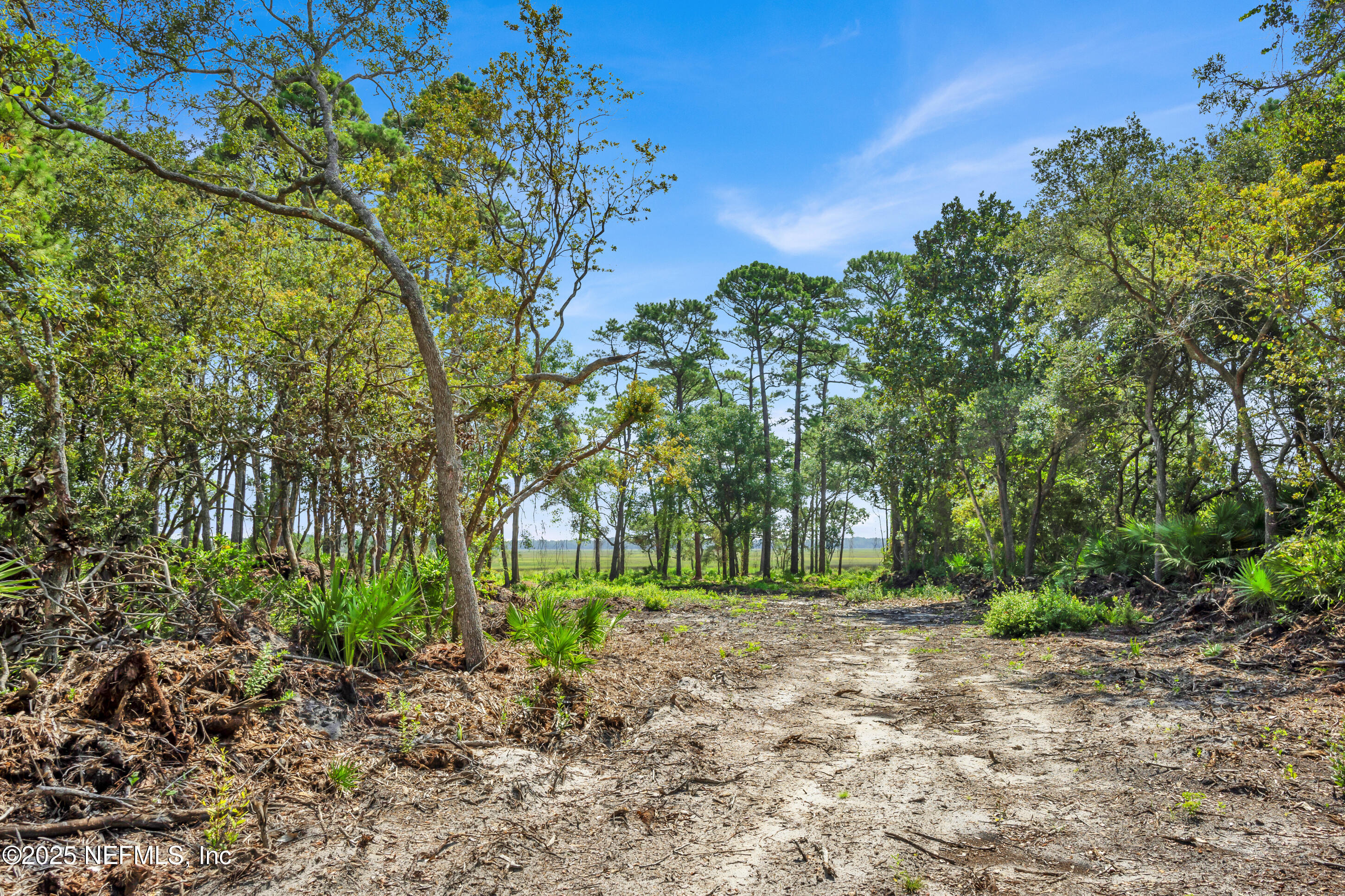 13091 Sawpit Road Jacksonville, FL 32226 - Photo 14 of 26 a backyard of a house with lots of green space