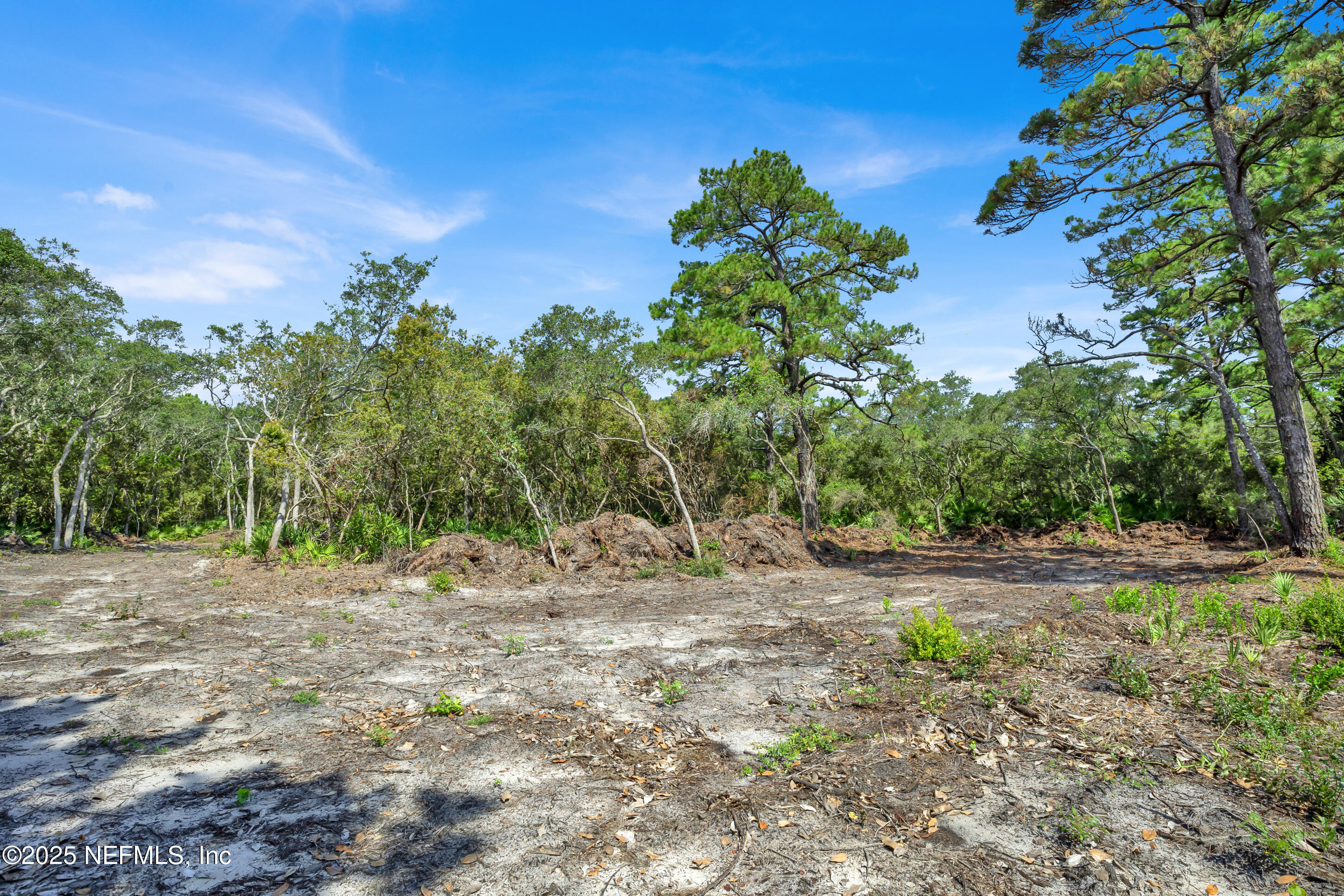 13091 Sawpit Road Jacksonville, FL 32226 - Photo 15 of 26 a backyard of a house with lots of green space