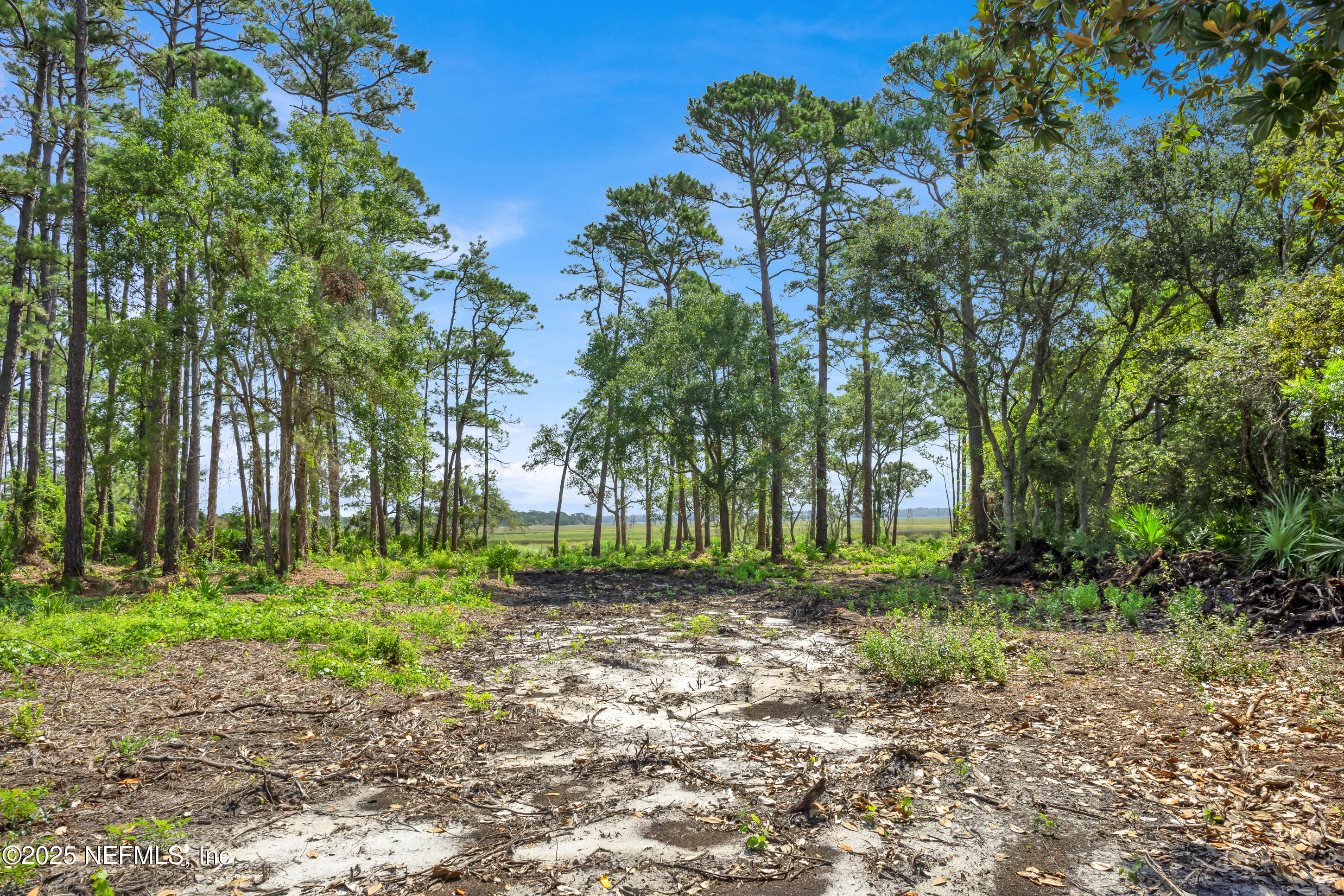 13091 Sawpit Road Jacksonville, FL 32226 - Photo 16 of 26 a backyard of a house with lots of green space
