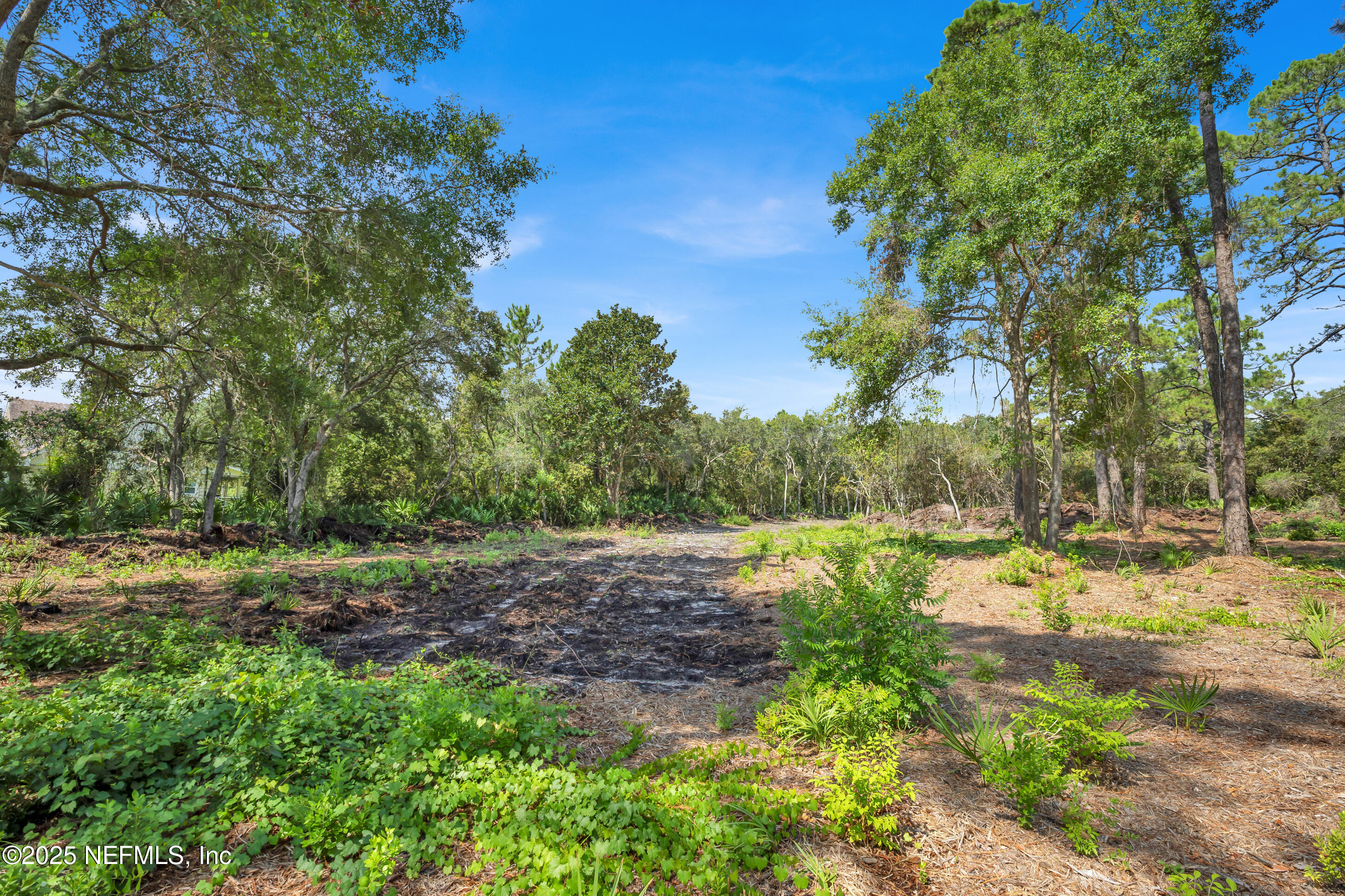 13091 Sawpit Road Jacksonville, FL 32226 - Photo 17 of 26 a view of a yard with a tree