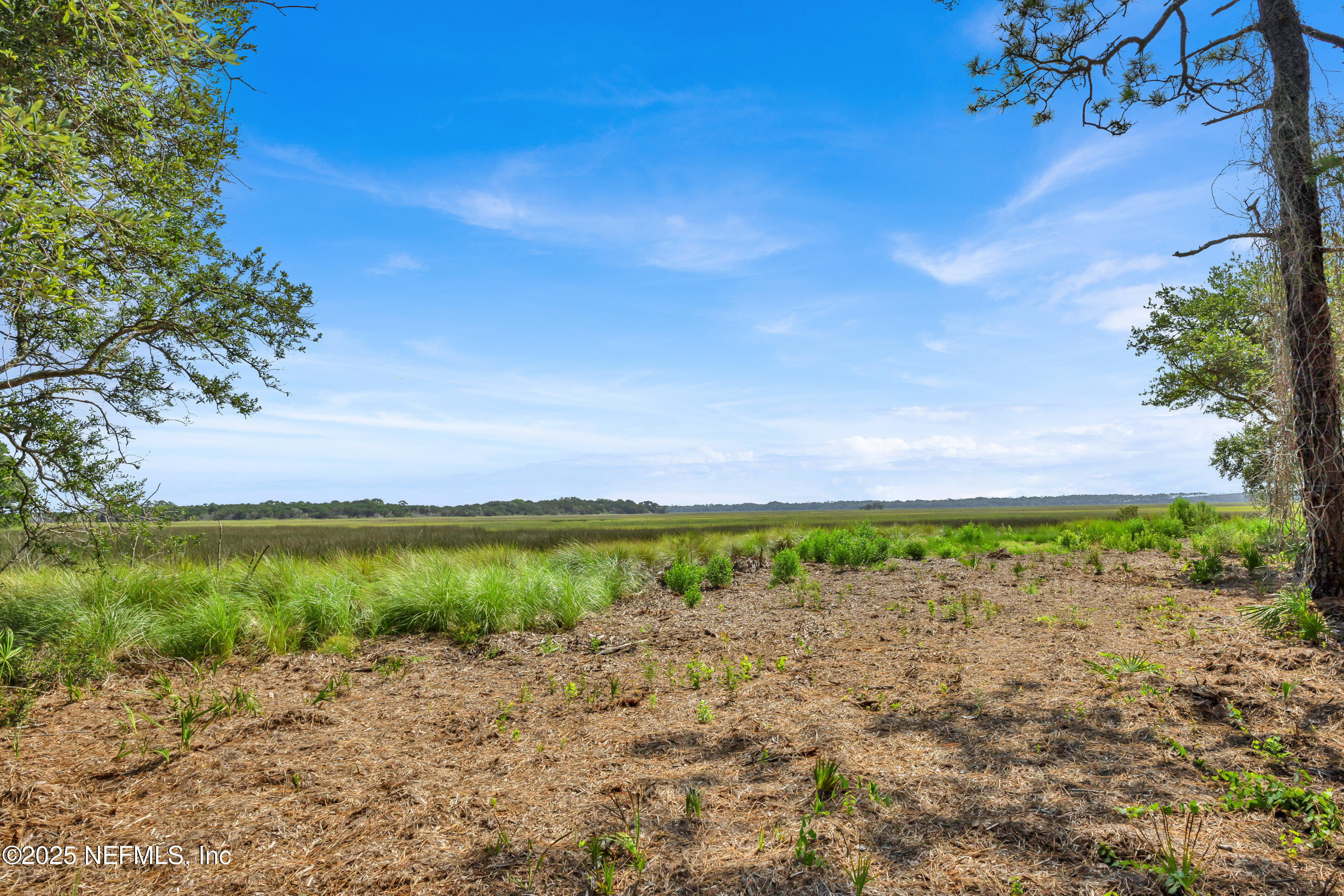 13091 Sawpit Road Jacksonville, FL 32226 - Photo 19 of 26 a view of a yard with an ocean beach