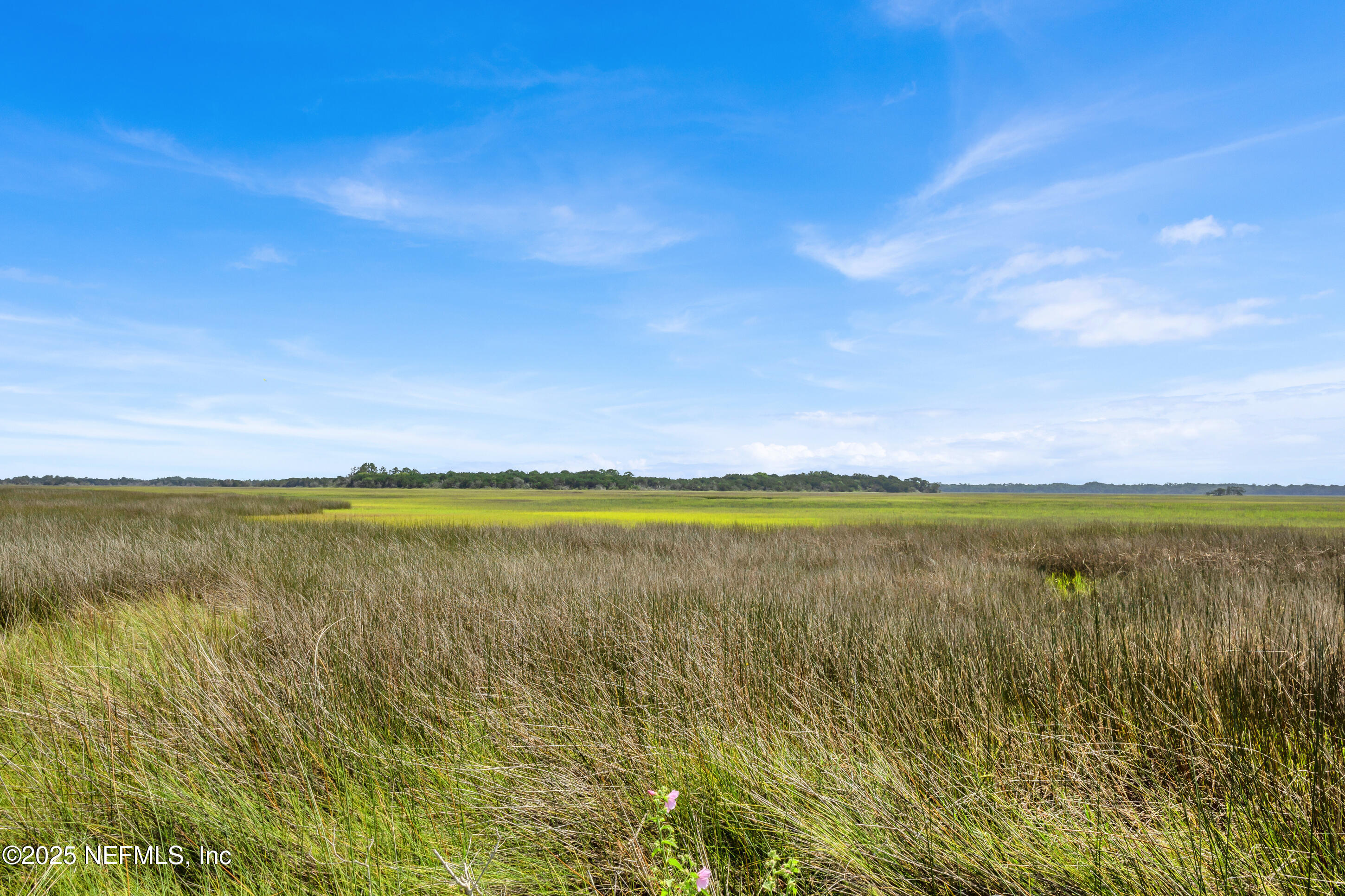 13091 Sawpit Road Jacksonville, FL 32226 - Photo 2 of 26 a view of an ocean and beach