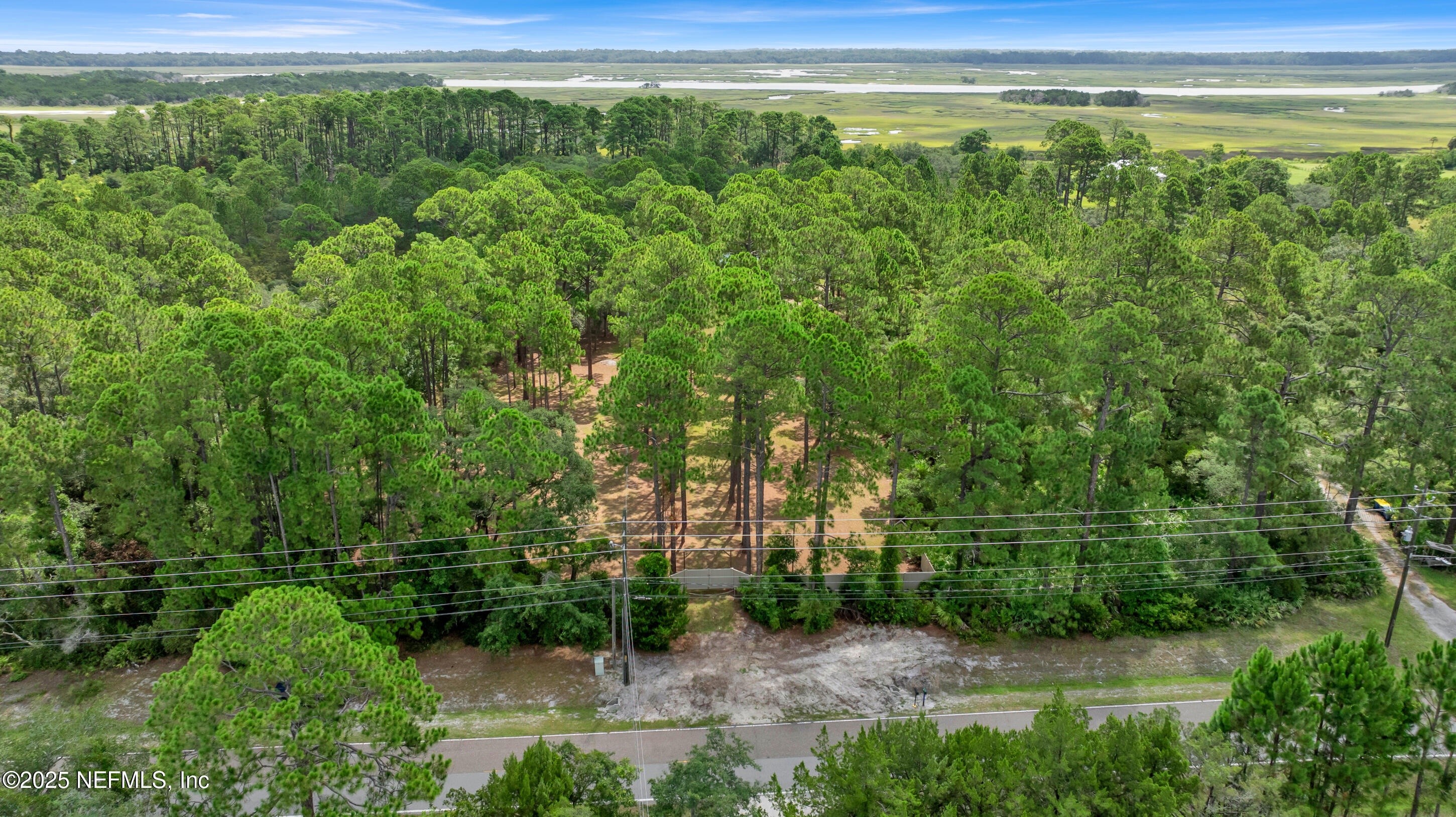 13091 Sawpit Road Jacksonville, FL 32226 - Photo 4 of 26 a view of a yard with a lake view