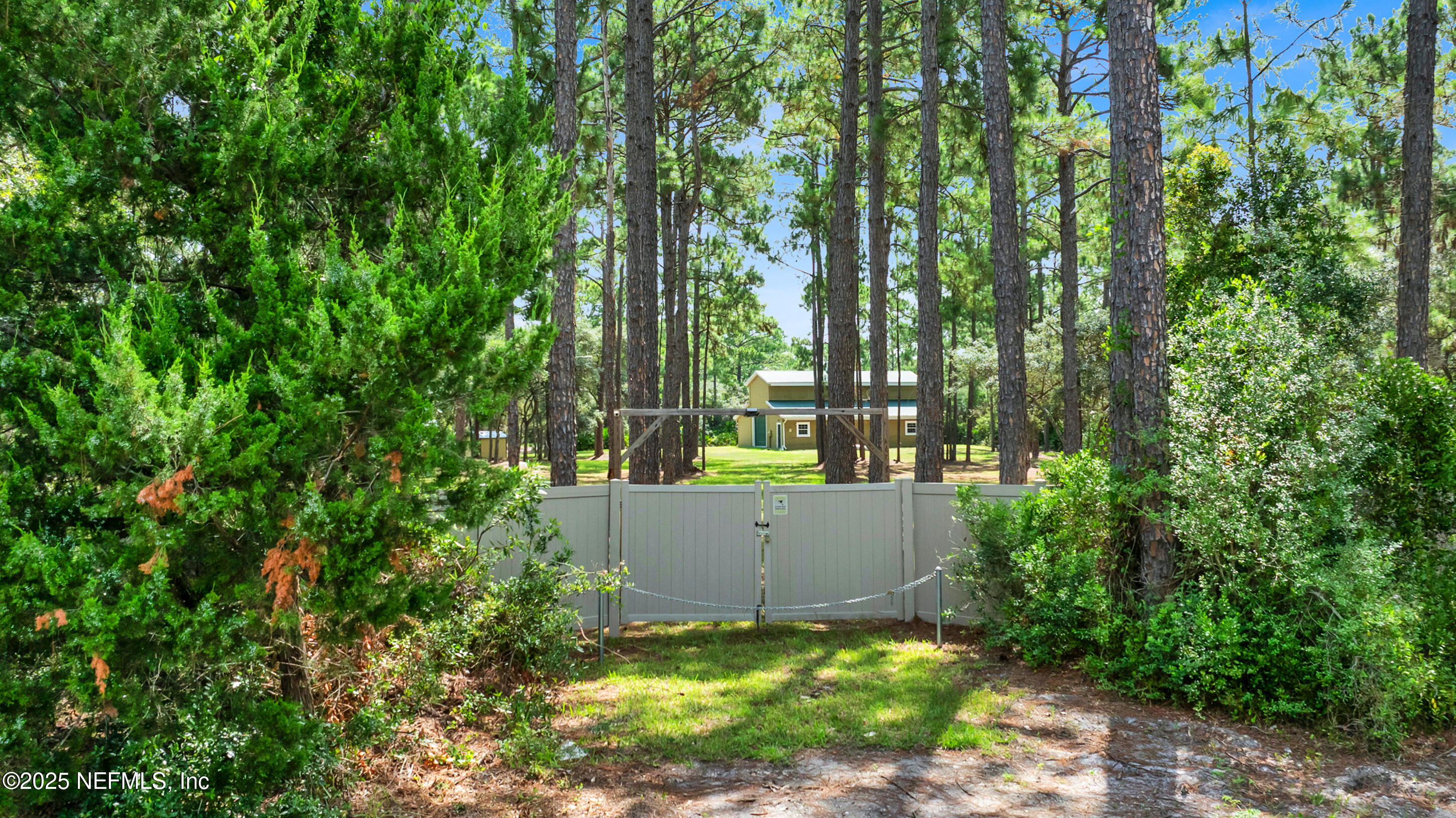 13091 Sawpit Road Jacksonville, FL 32226 - Photo 5 of 26 a backyard of a house with large trees and plants
