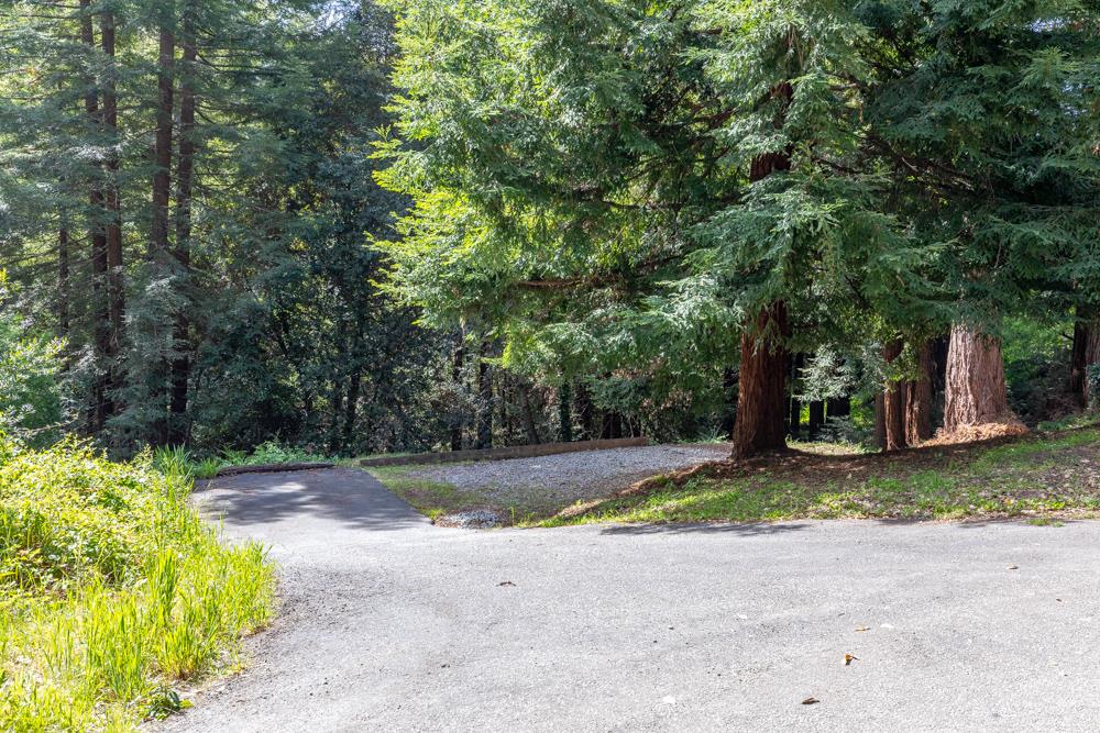 4399 Porter Gulch Road Aptos, CA 95003 - Photo 32 of 32 a view of a yard with plants and trees