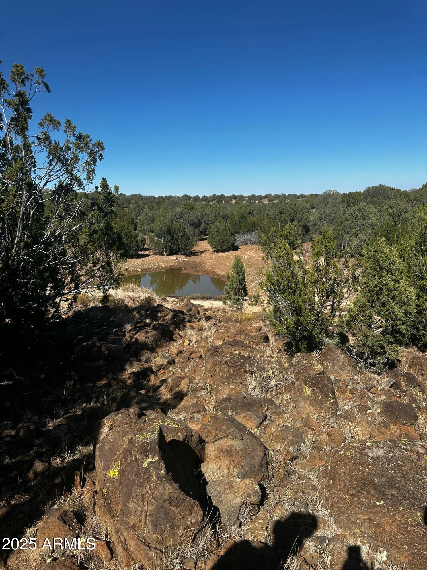 10777 West Raging Crab Road Ash Fork, AZ 86320 - Photo 30 of 45 Seasonal pond