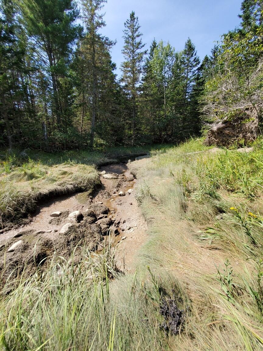 300 Village Road Steuben, ME 04680 - Photo 24 of 80 low tide