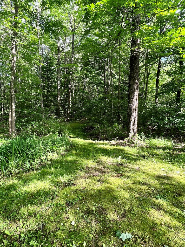 96 Niles Road St. Regis Falls, NY 12980 - Photo 30 of 36 Gallery Image 30