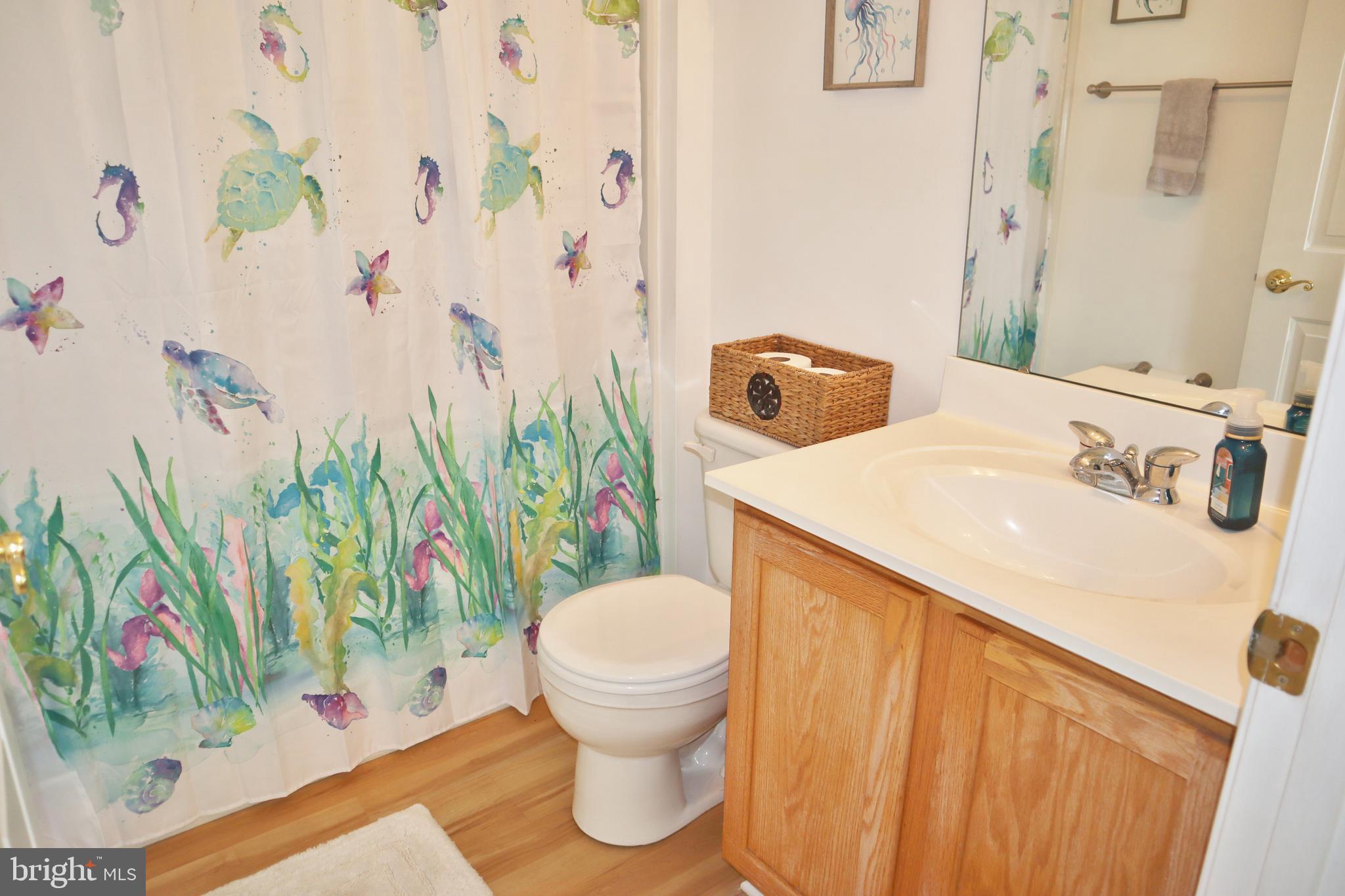 175 Tweedsmere Drive Townsend, DE 19734 - Photo 21 of 34 Hall Bath