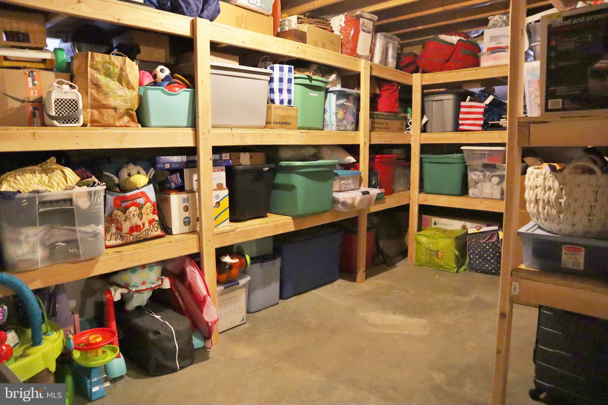 175 Tweedsmere Drive Townsend, DE 19734 - Photo 29 of 34 Built-Ins in Basement