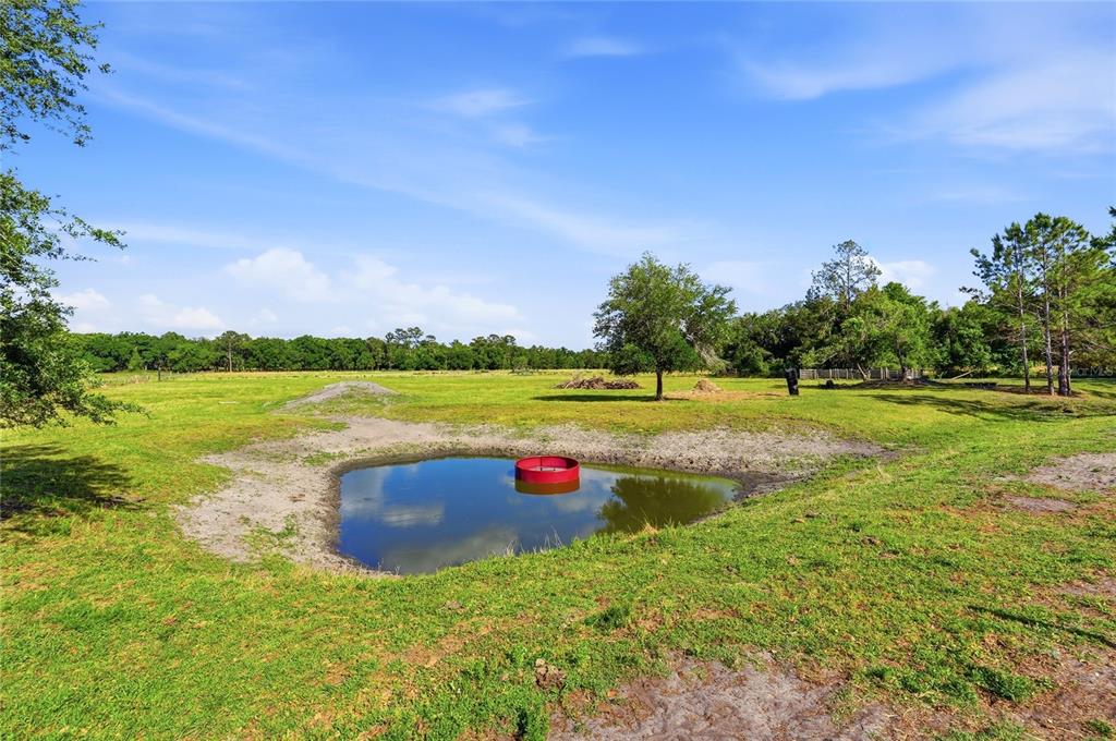 39000 Sparkman Road Dade City, FL 33525 - Photo 49 of 52 Gallery Image 49