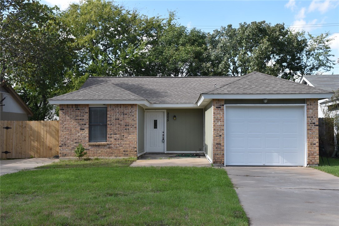 205 Raintree Drive Georgetown, TX 78626 - Photo 1 of 1