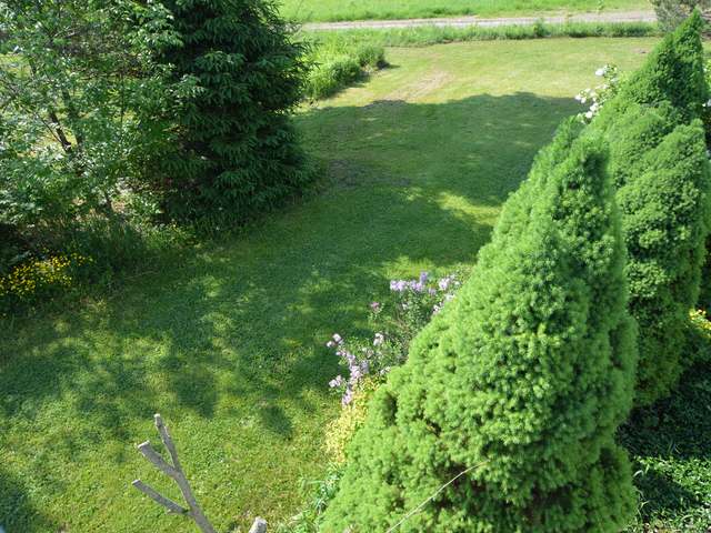 6877 Matthews Run Road Sugar Grove, PA 16350 - Photo 25 of 35 Gallery Image 25