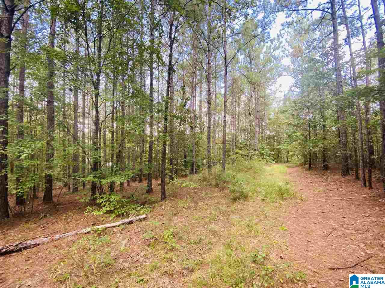 2560 Joe Lee Road, Unit 1 Talladega, AL 35160 - Photo 17 of 35