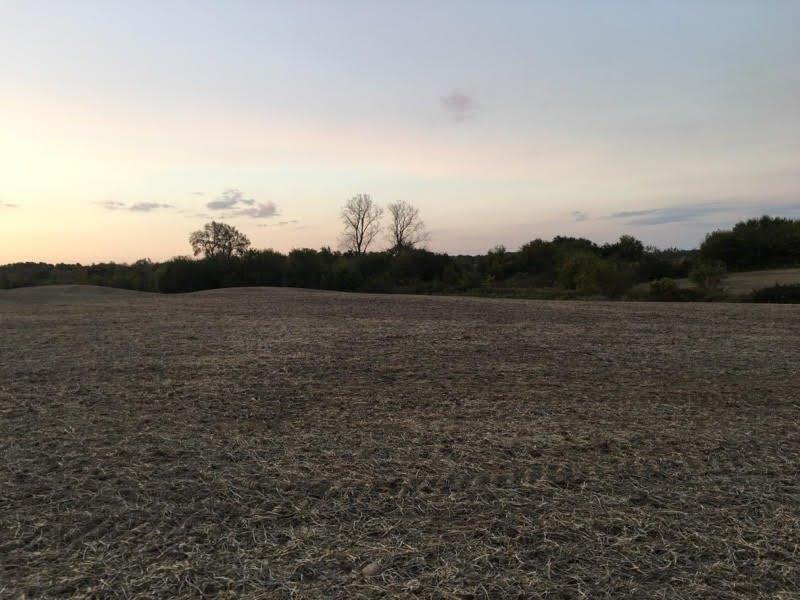 11.724-ac Tice Road Centerville, IN 47330 - Photo 1 of 1 Gallery Image 1