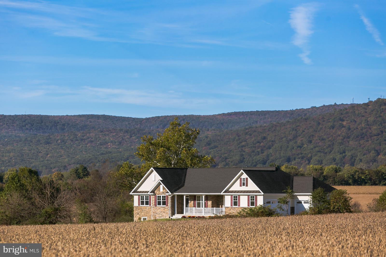 10138 Masser Road Frederick, MD 21702 - Photo 26 of 30 Awesome Setting and Awesome Home